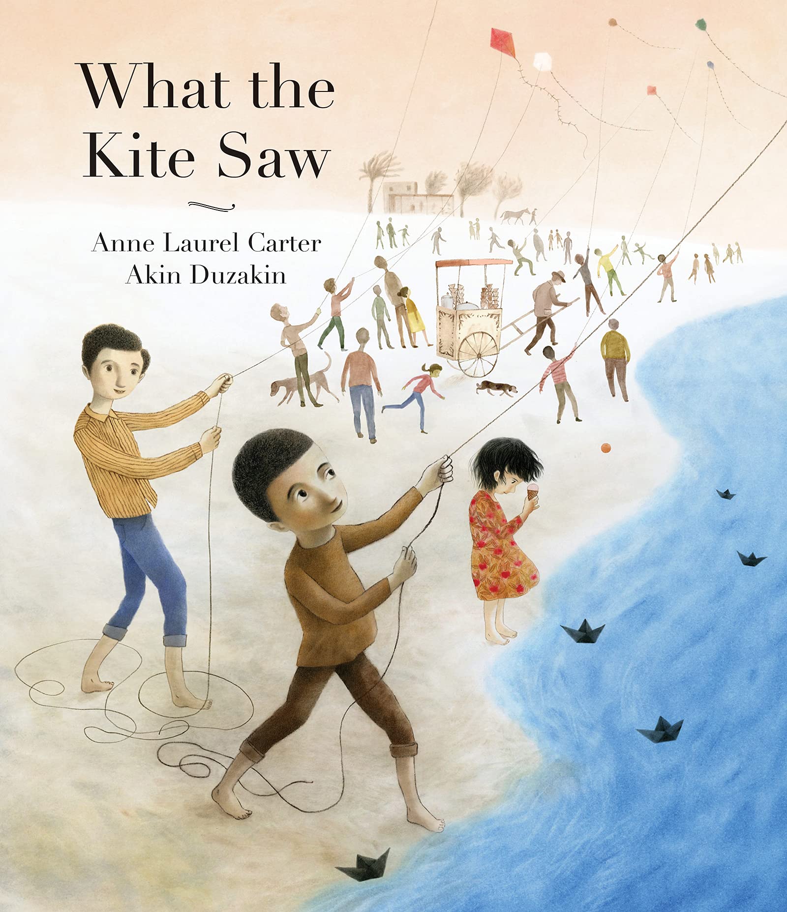 What The Kite Saw