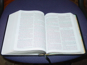 Expositor's Study Bible,New