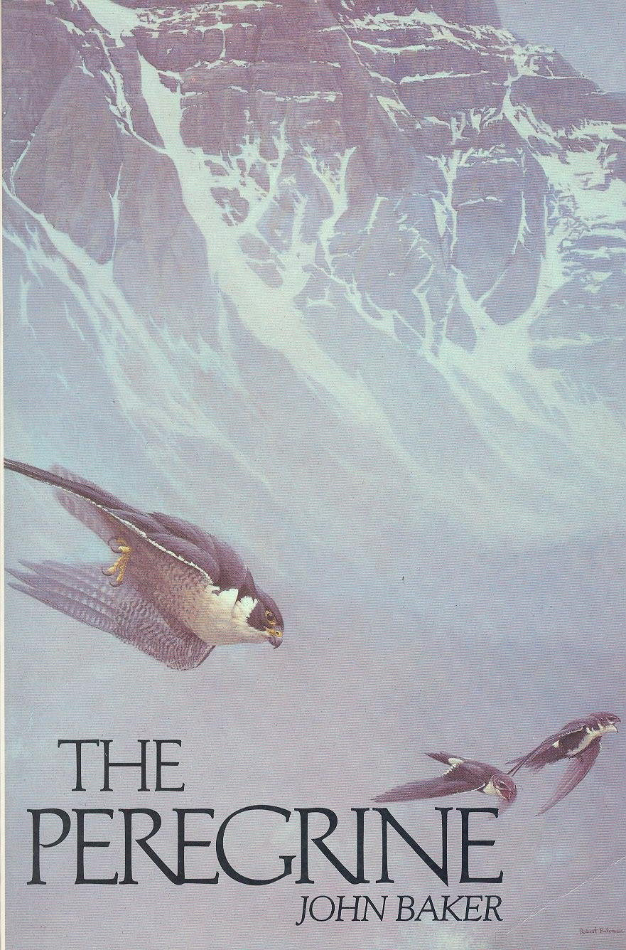 The Peregrine,New