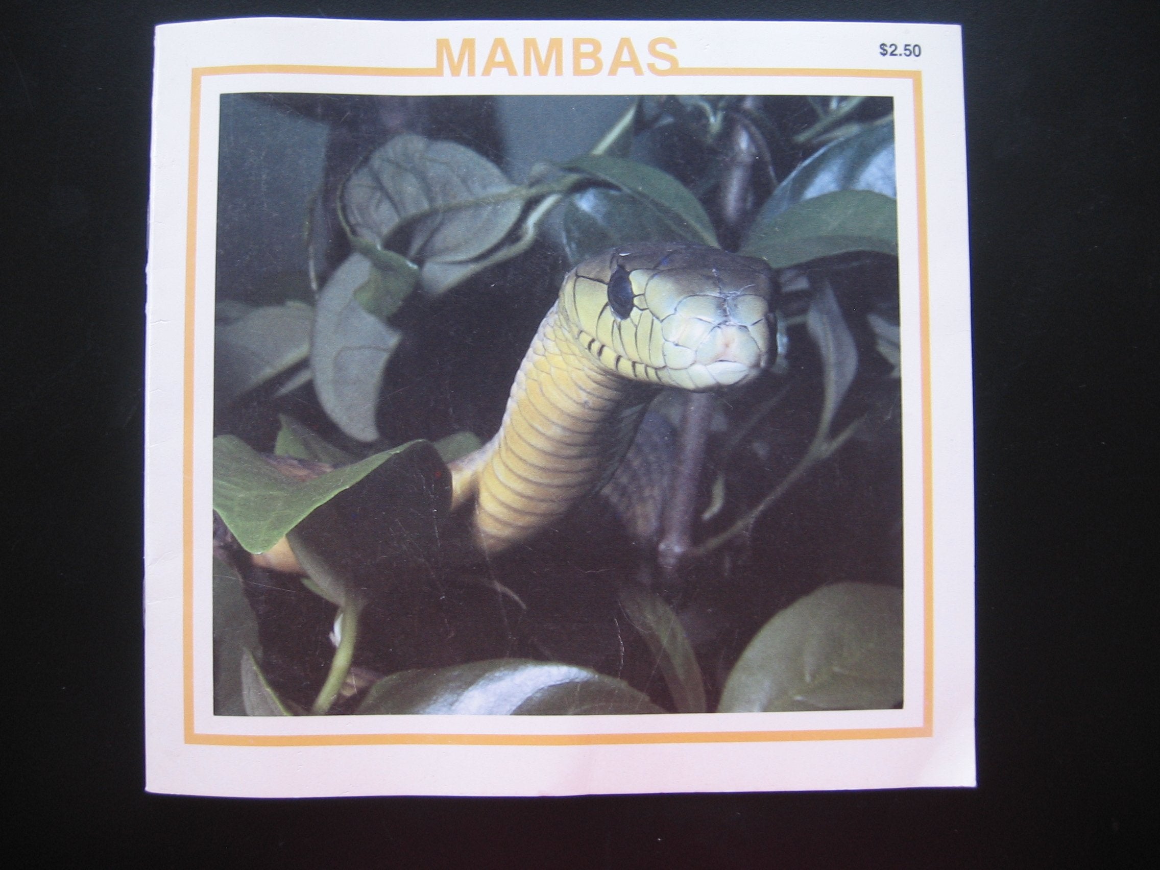 Mambas: The Snake Discovery Library,Used