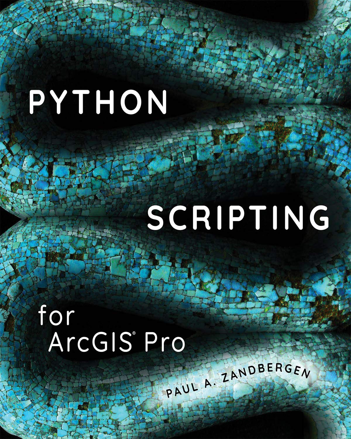 Python Scripting For Arcgis Pro,Used