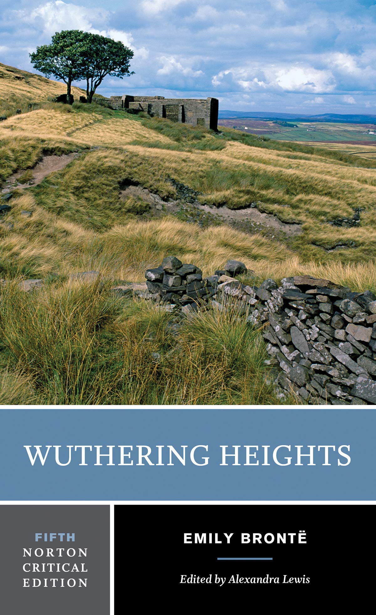 Wuthering Heights: A Norton Critical Edition (Norton Critical Editions),New
