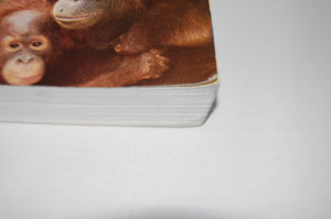 The Essence of Anthropology (Available Titles CengageNOW),Used
