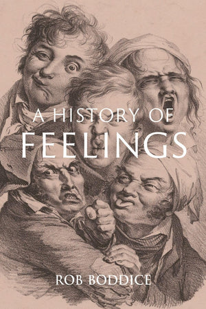A History of Feelings,Used