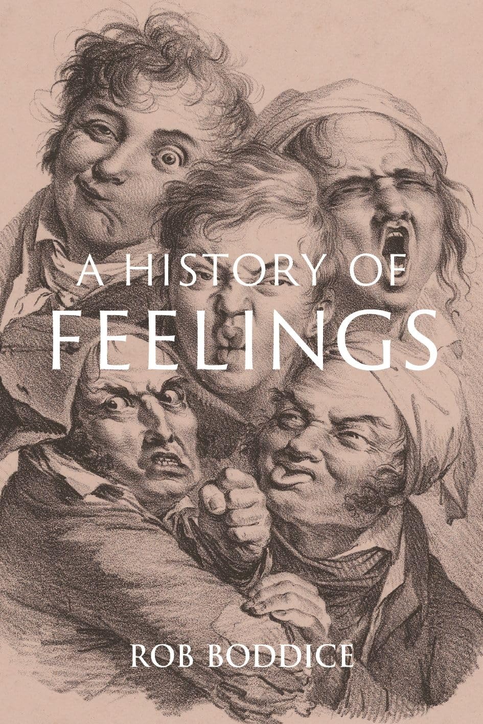 A History of Feelings,Used