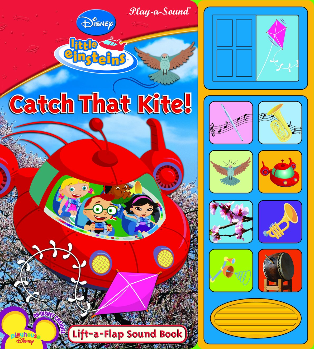 Catch That Kite!: LiftAFlap Sound Book,Used