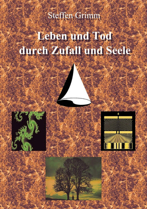 Leben und Tod durch Zufall und Seele: Esoterik, Religion und Philosophie im Spiegel moderner Naturwissenschaft (German Edition),Used