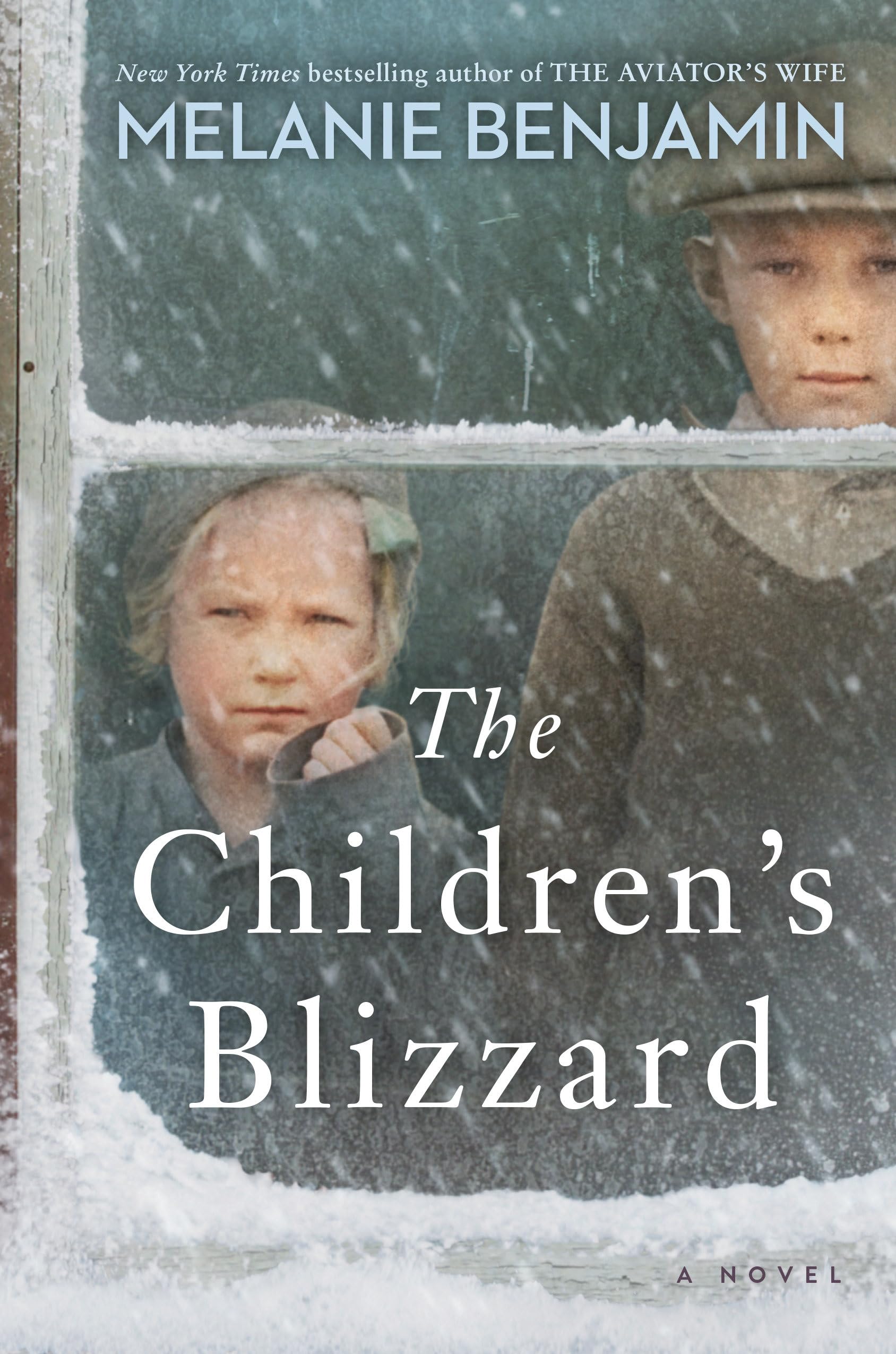 The Children's Blizzard: A Novel,Used