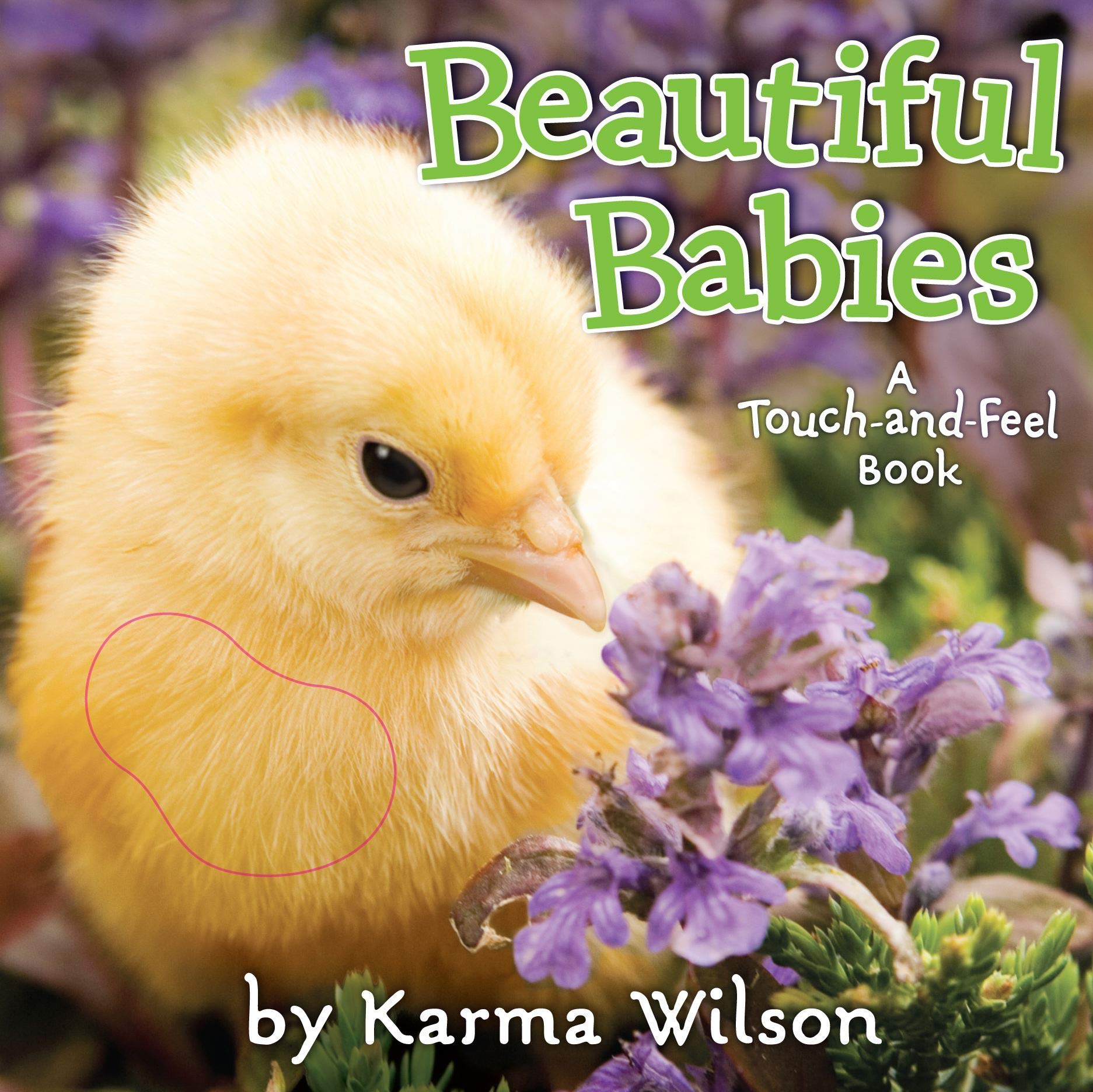 Beautiful Babies: A TouchandFeel Book,Used