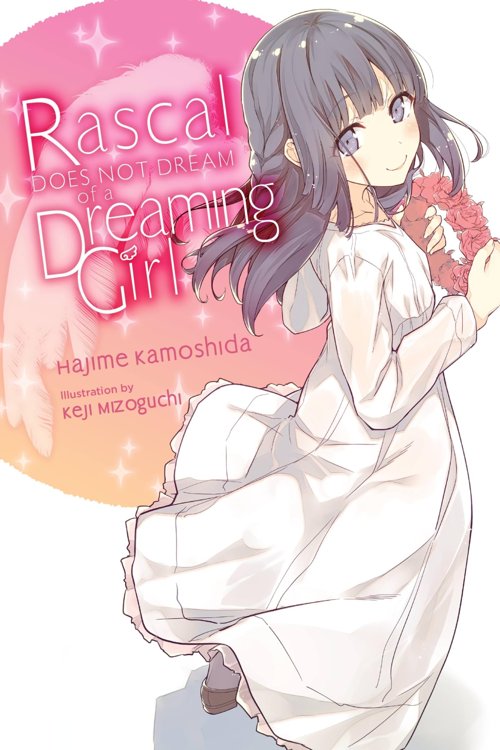 Rascal Does Not Dream Of A Dreaming Girl (Light Novel) (Volume 6) (Rascal Does Not Dream (Light Novel), 6),New