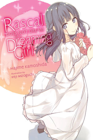 Rascal Does Not Dream Of A Dreaming Girl (Light Novel) (Volume 6) (Rascal Does Not Dream (Light Novel), 6),New