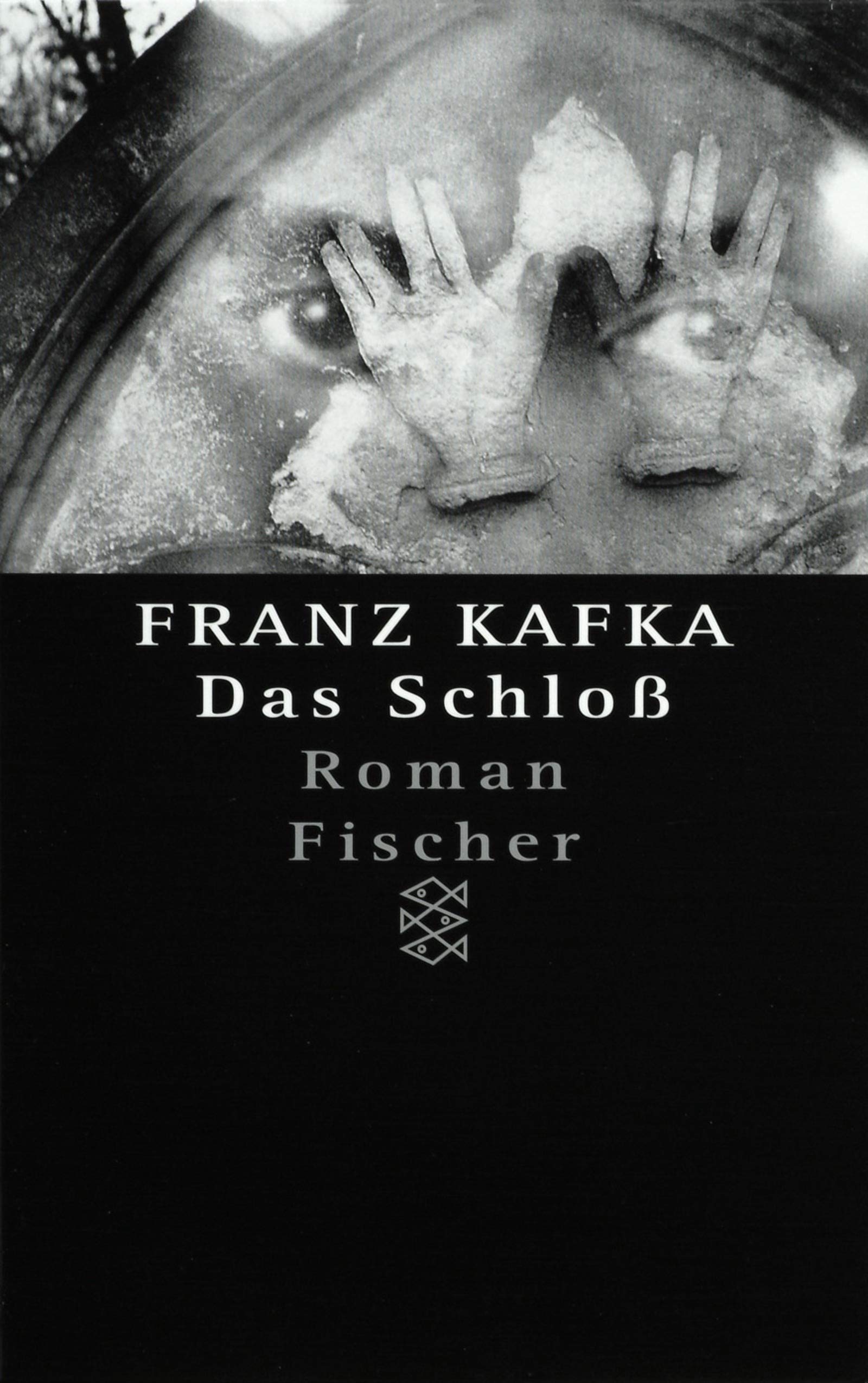 Das Schloss (German Edition),Used