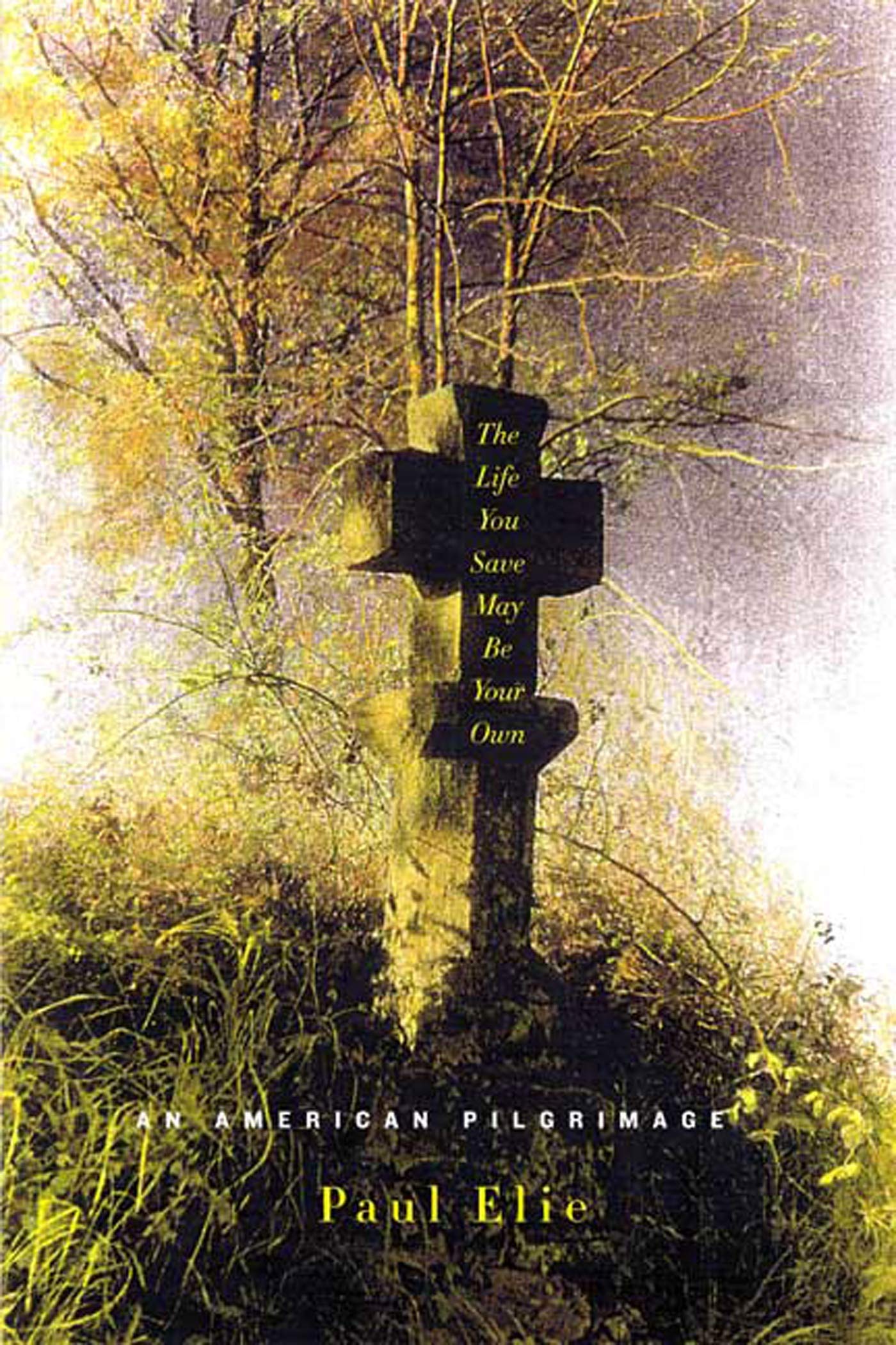 The Life You Save May Be Your Own: An American Pilgrimage,Used