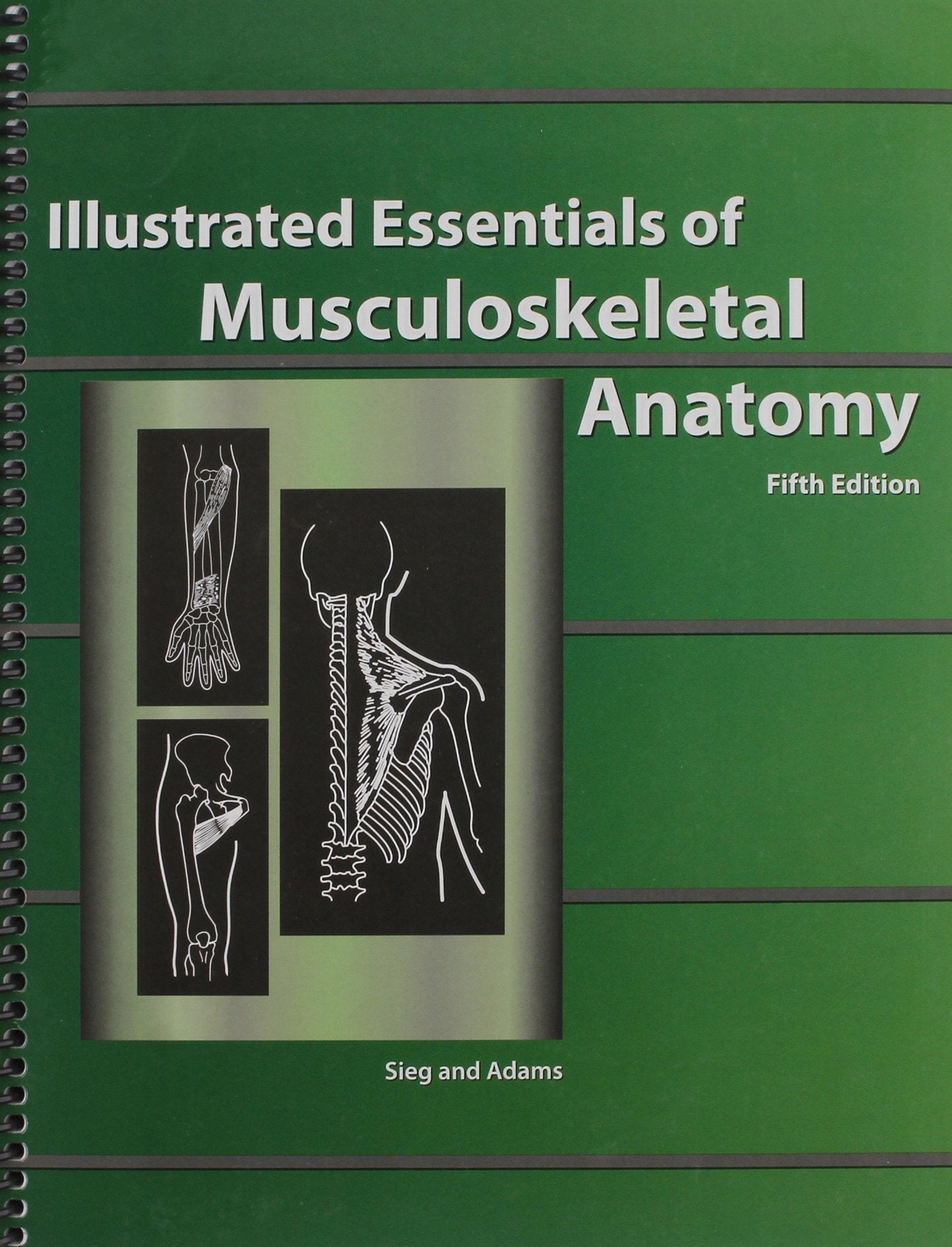 Illustrated Essentials Of Musculoskeletal Anatomy,Used