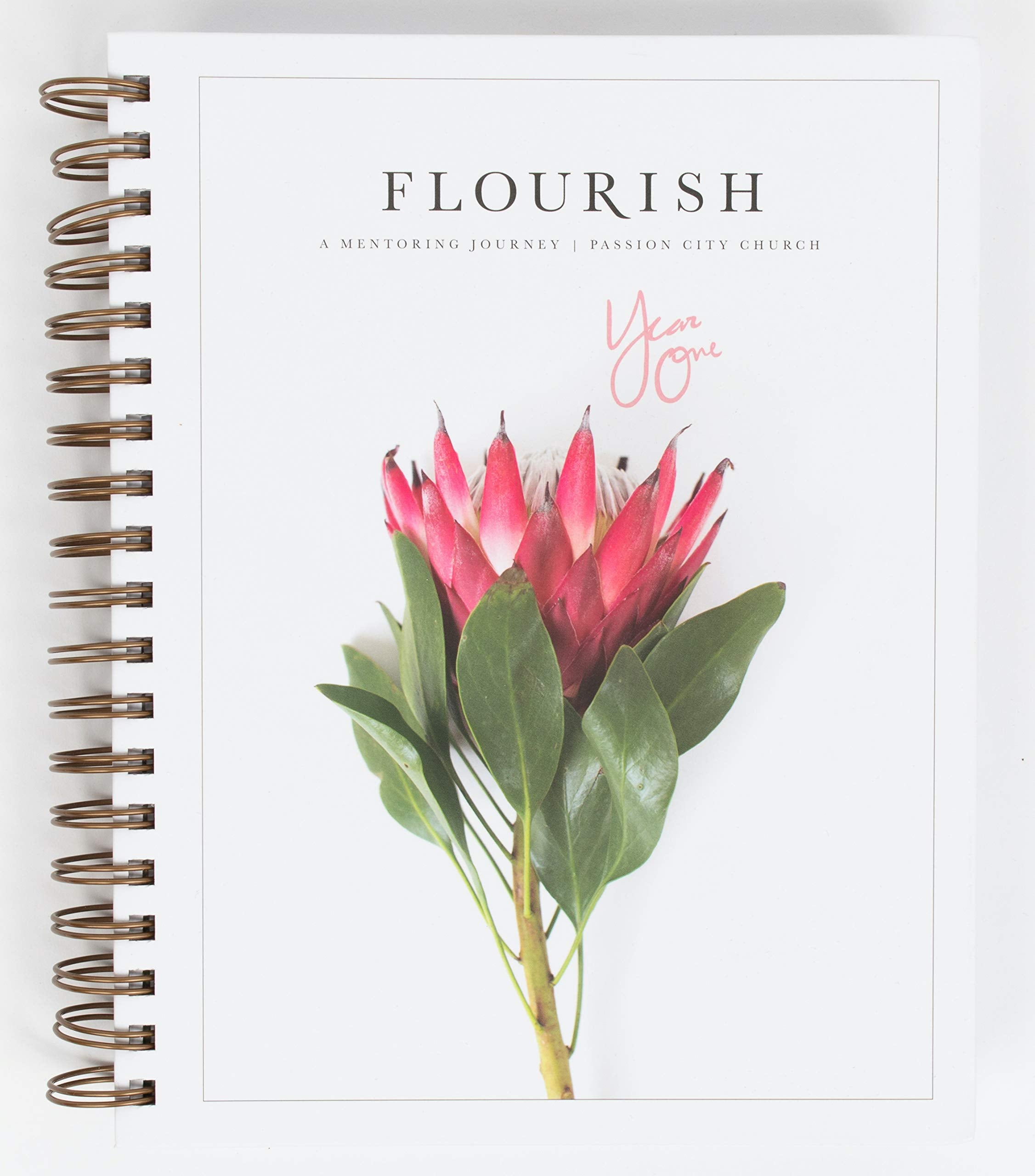 Flourish: A Mentoring Journey  Year One,Used