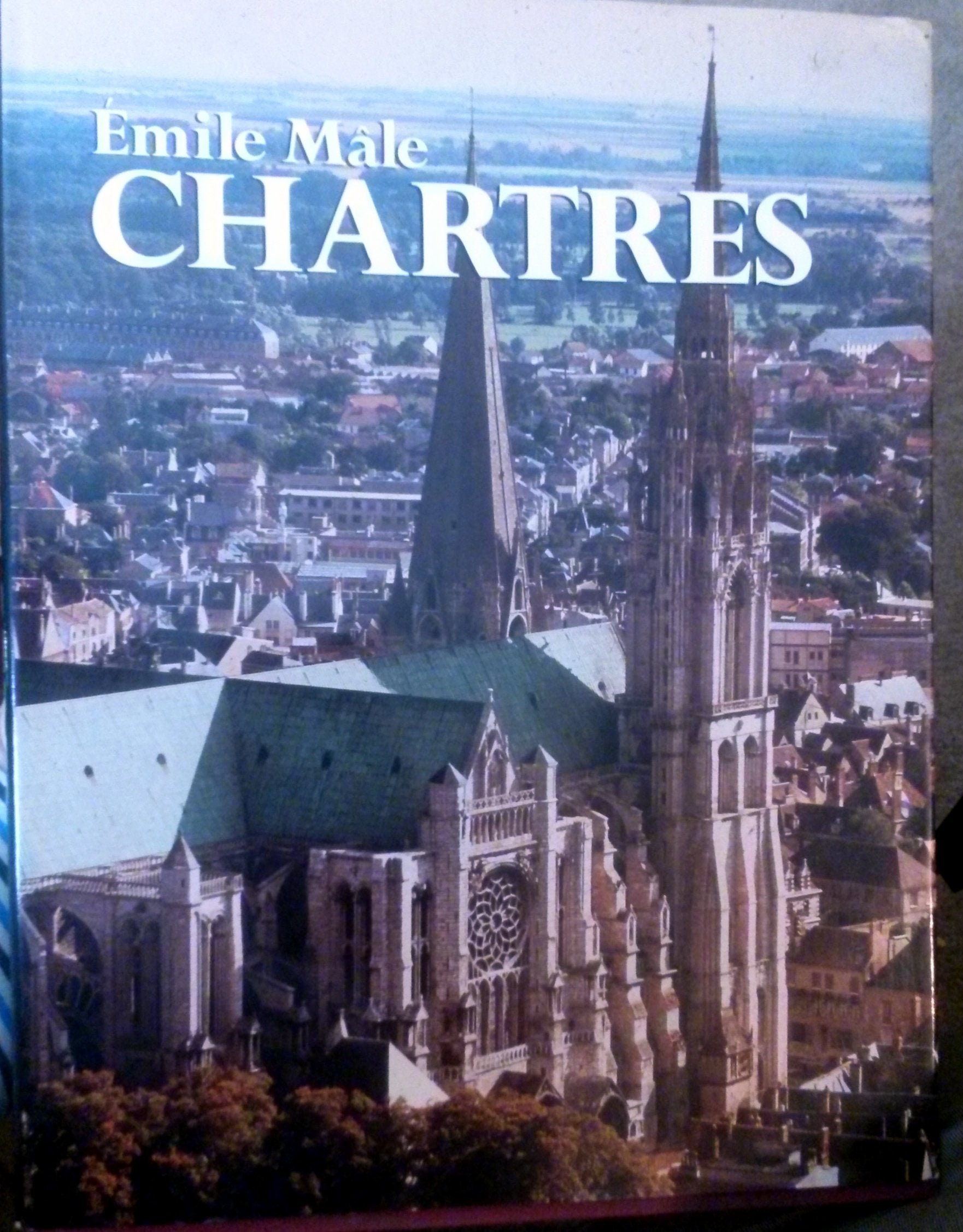 Chartres (Icon Editions),Used