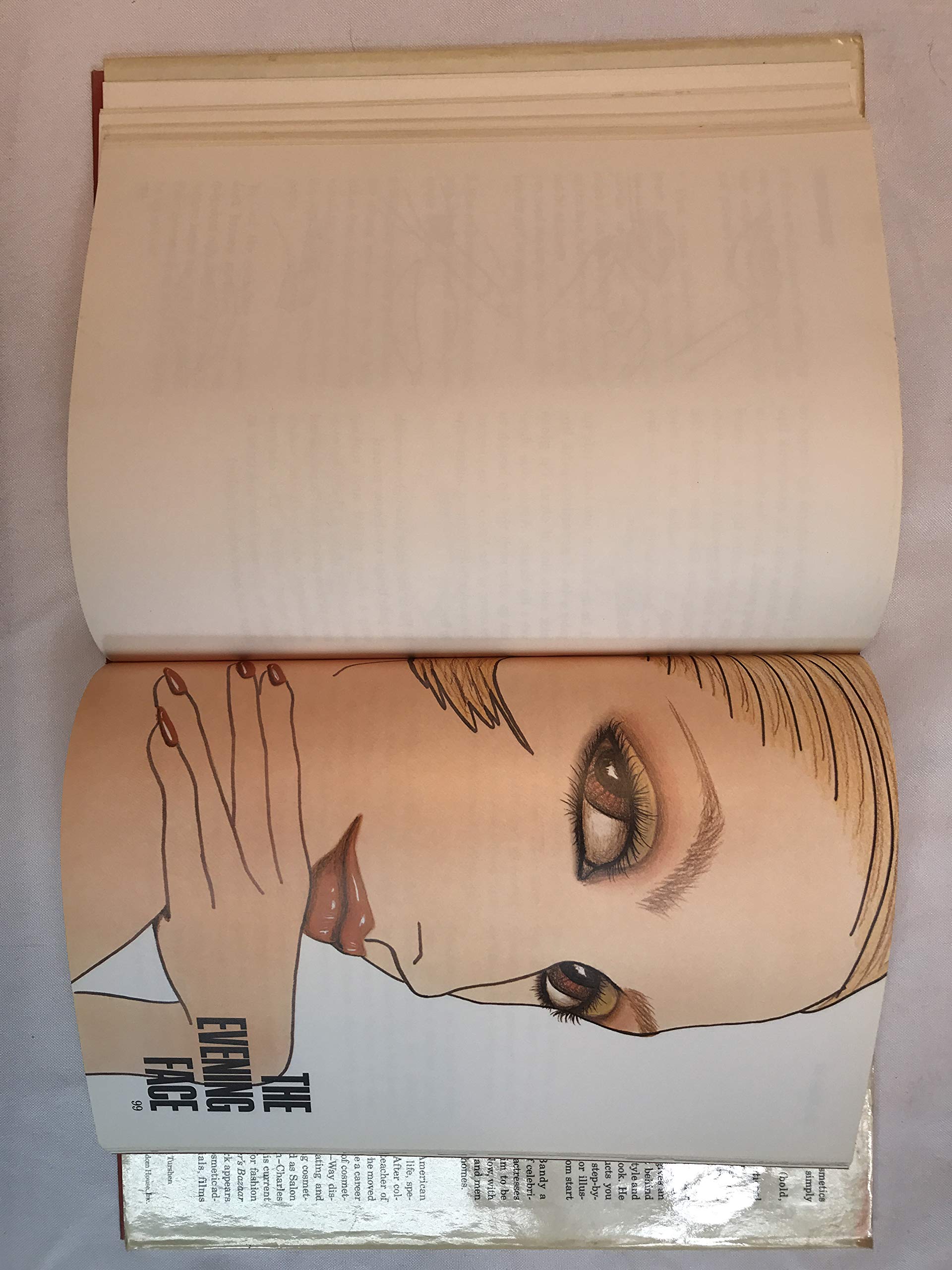 Styling Your Face: An Illustrated Guide To Fifteen Cosmetic Face Designs For Women And Men,New