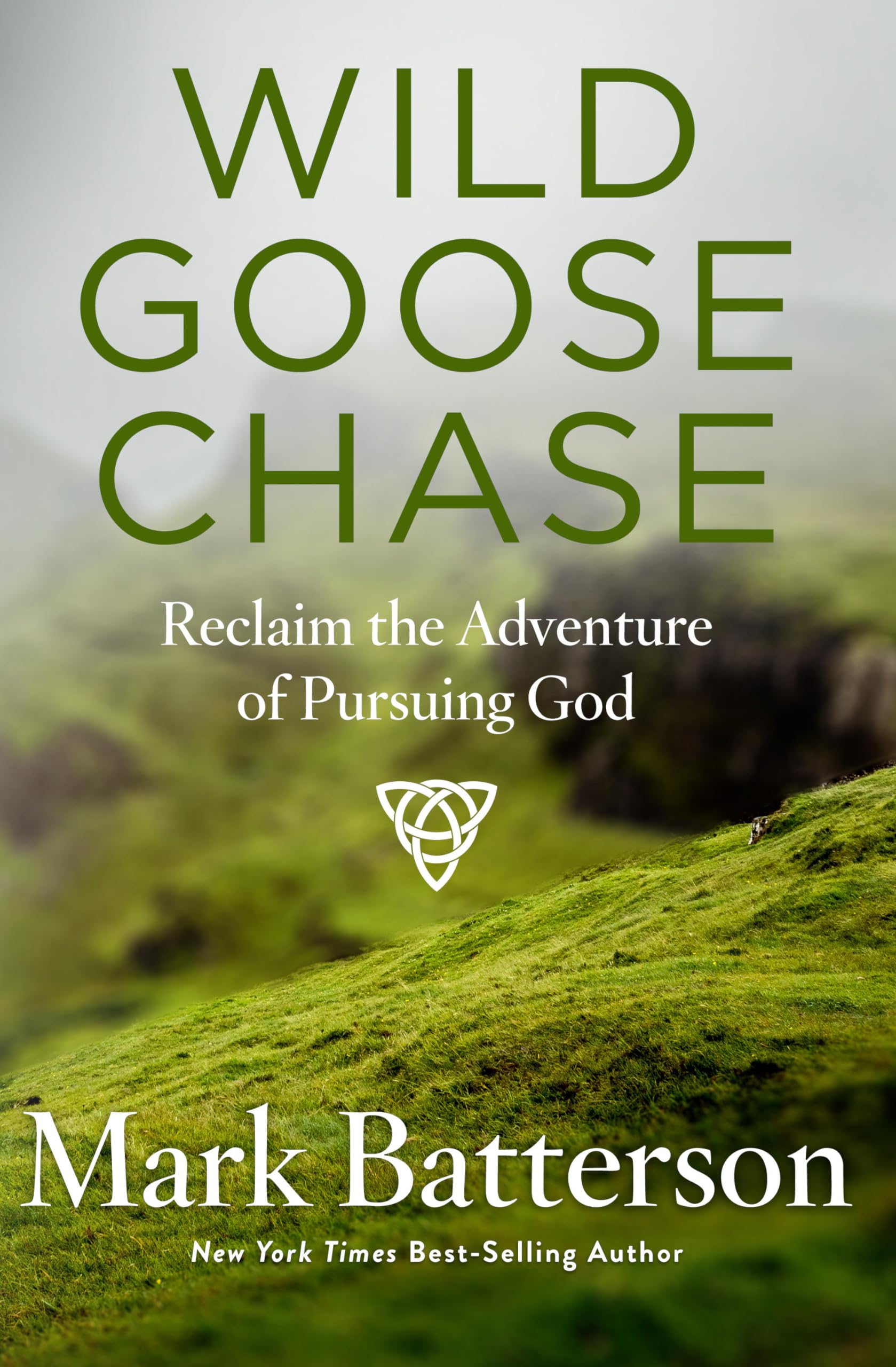 Wild Goose Chase: Reclaim the Adventure of Pursuing God,Used