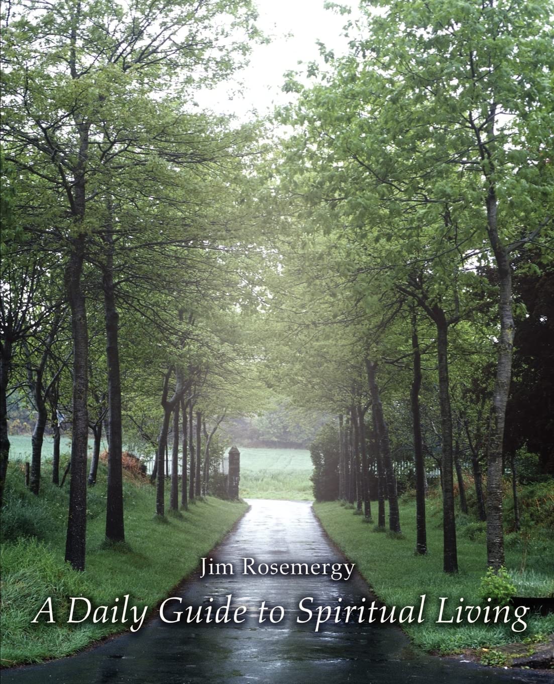 A Daily Guide to Spiritual Living,Used