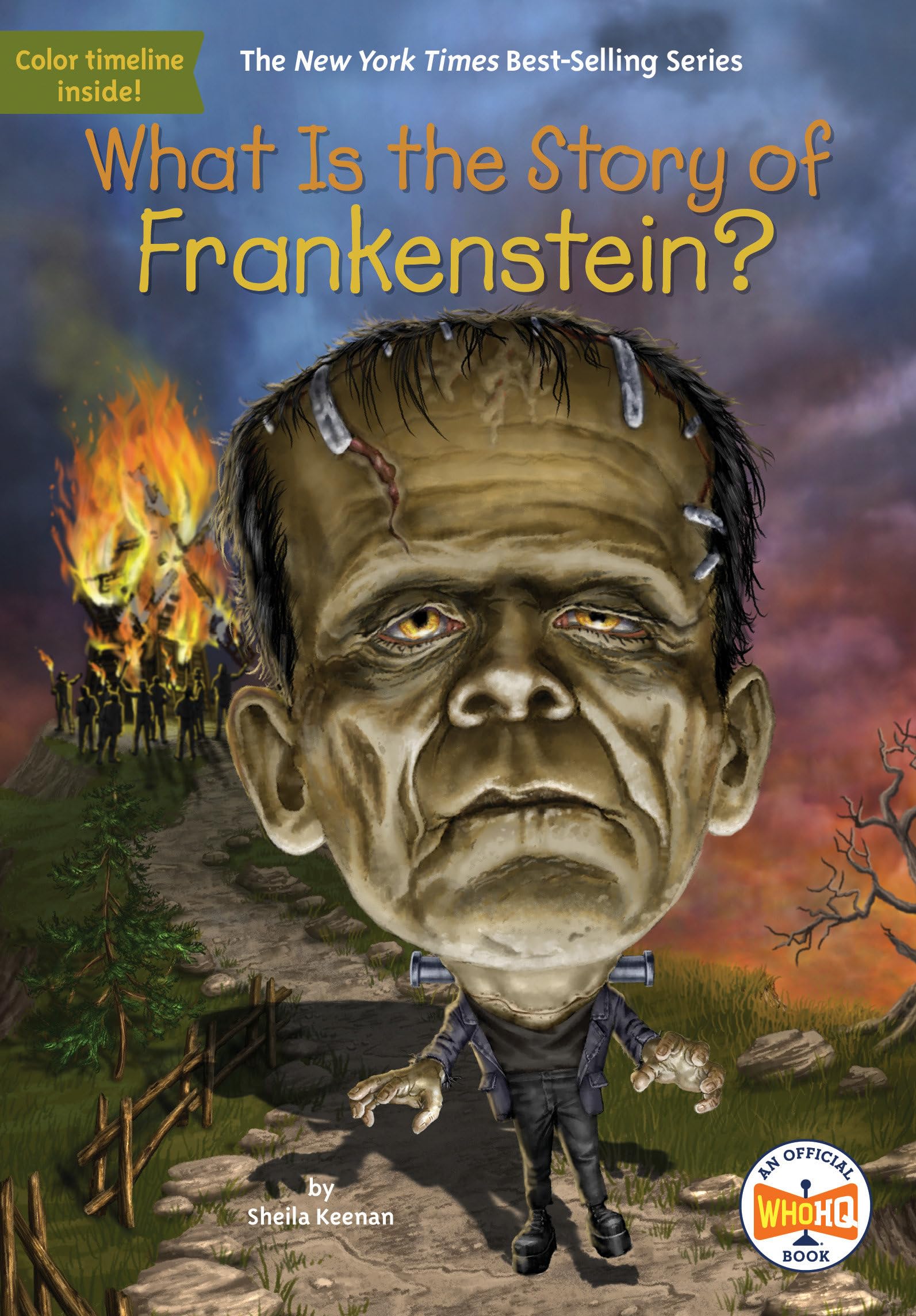 What Is the Story of Frankenstein?,Used