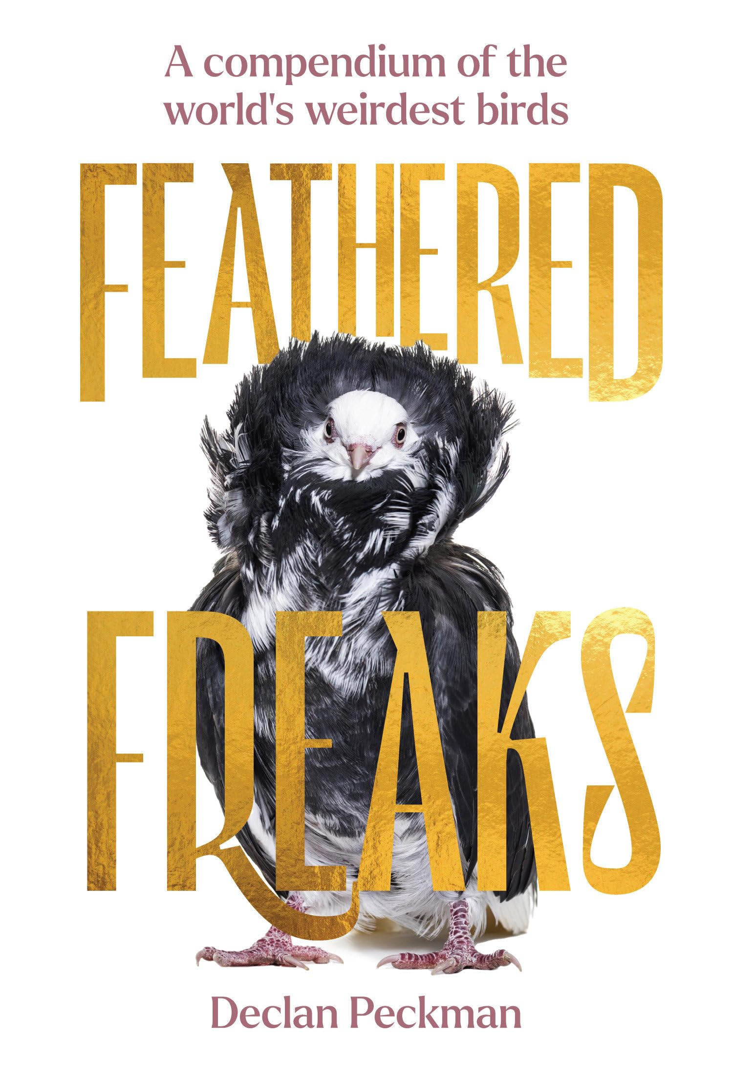 Feathered Freaks: A Compendium of the World's Weirdest Birds,New
