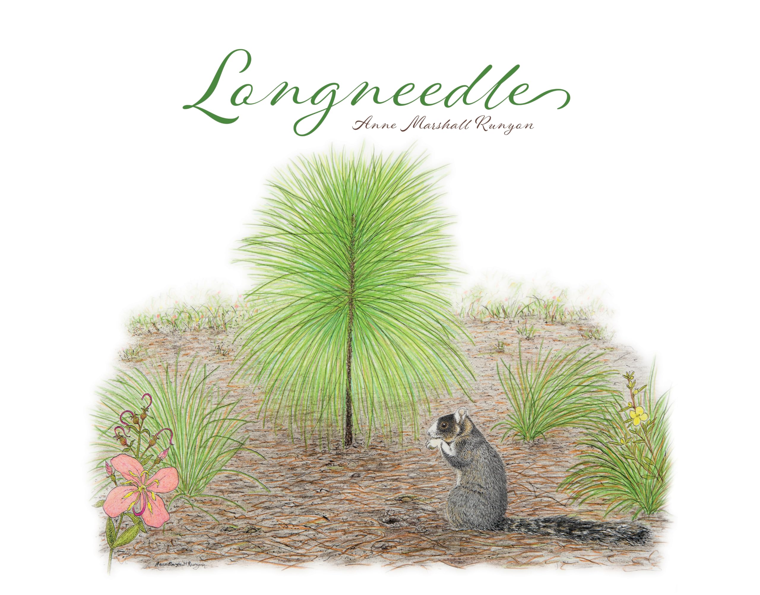 Longneedle (True Tales for Young Readers),Used