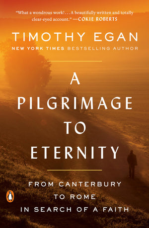 A Pilgrimage To Eternity: From Canterbury To Rome In Search Of A Faith,New