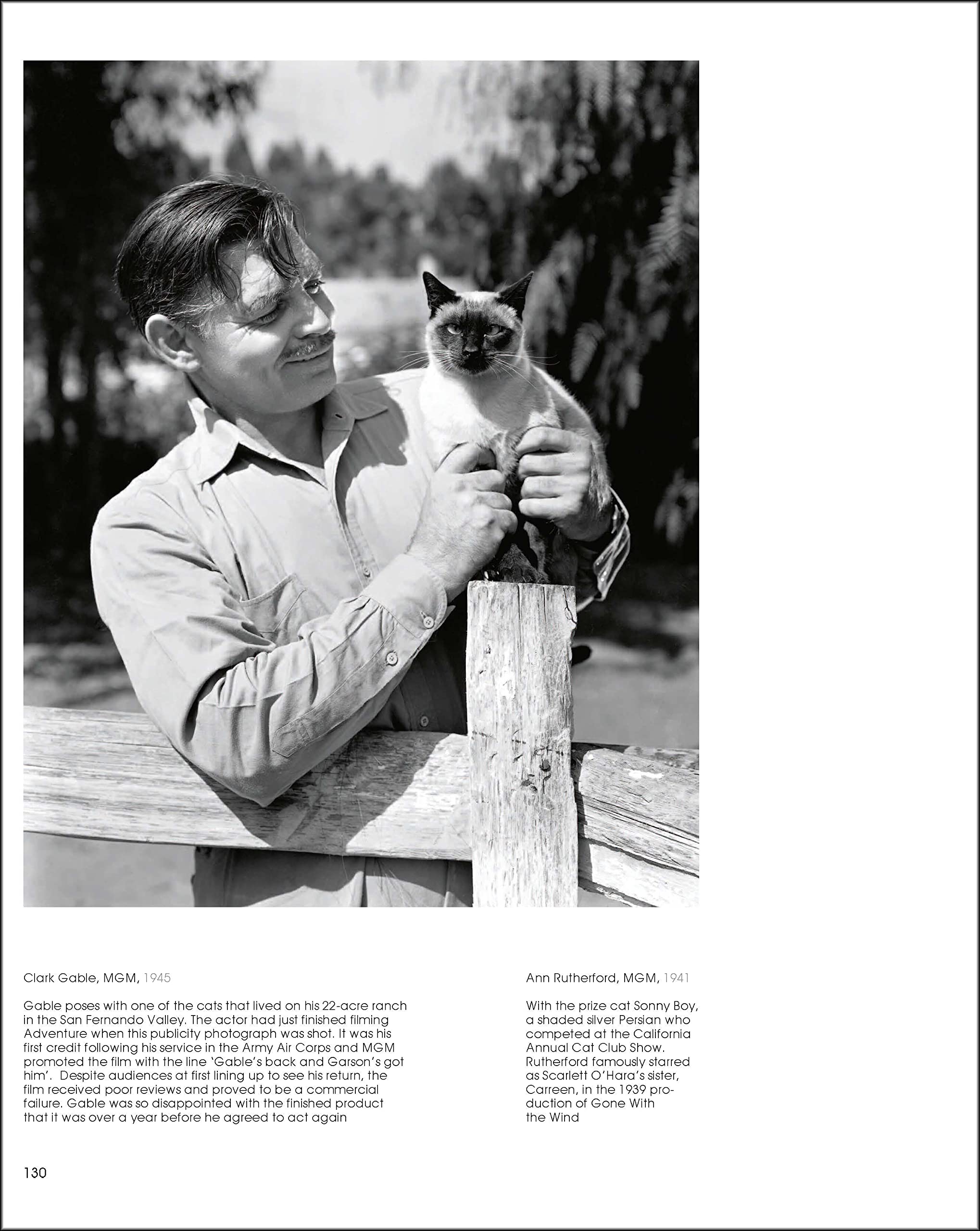 Hollywood Cats: Photographs From the John Kobal Foundation