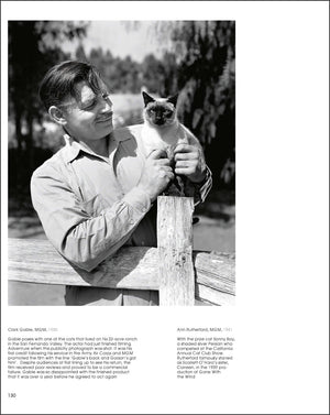 Hollywood Cats: Photographs From the John Kobal Foundation