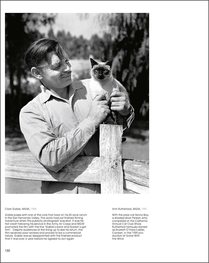Hollywood Cats: Photographs From the John Kobal Foundation