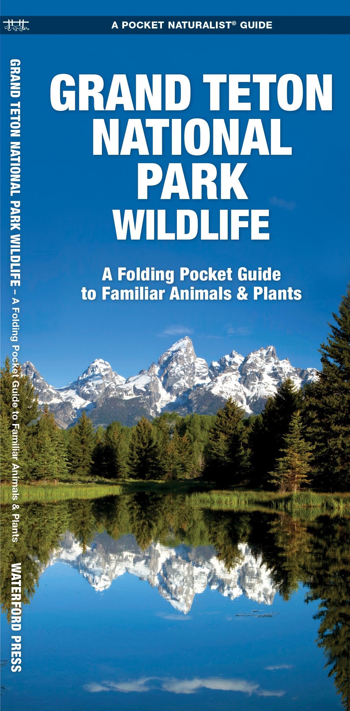 Grand Teton National Park Wildlife: A Folding Pocket Guide To Familiar Animals & Plants (Wildlife And Nature Identification),Used