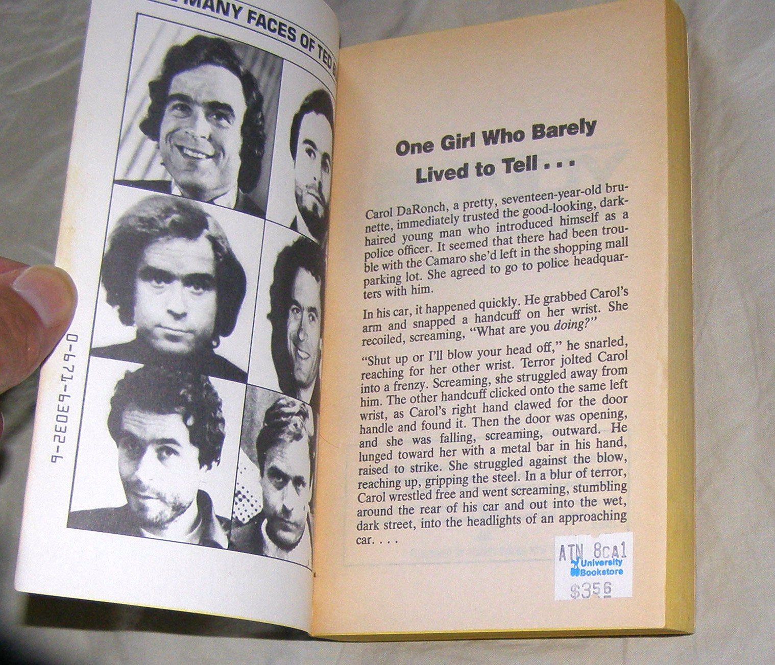 Bundy: The Deliberate Stranger,New