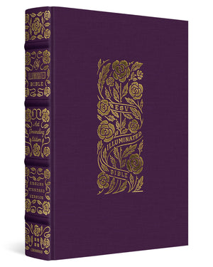 ESV Illuminated Bible, Art Journaling Edition (Cloth over Board, Eggplant),Used