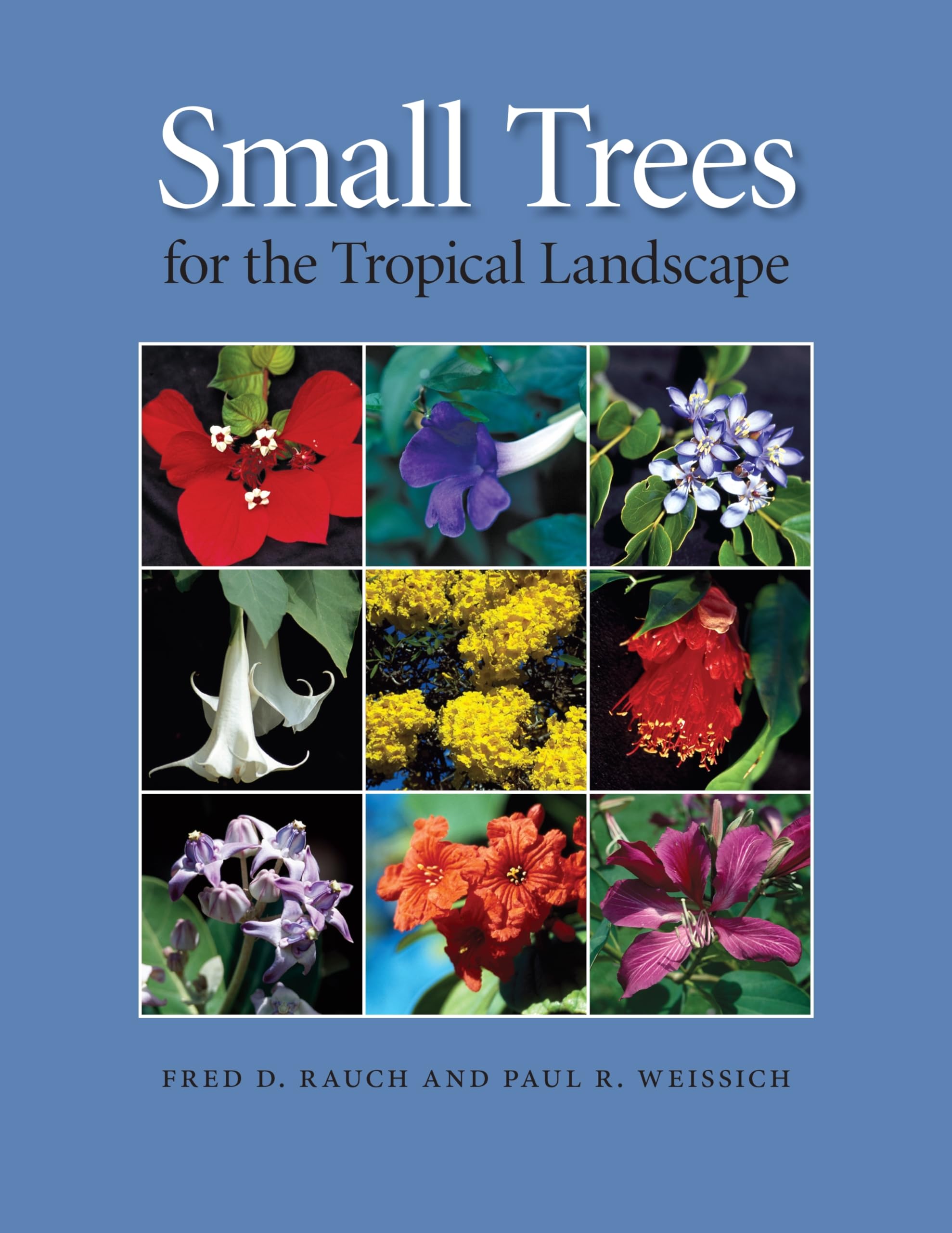 Small Trees for the Tropical Landscape,Used