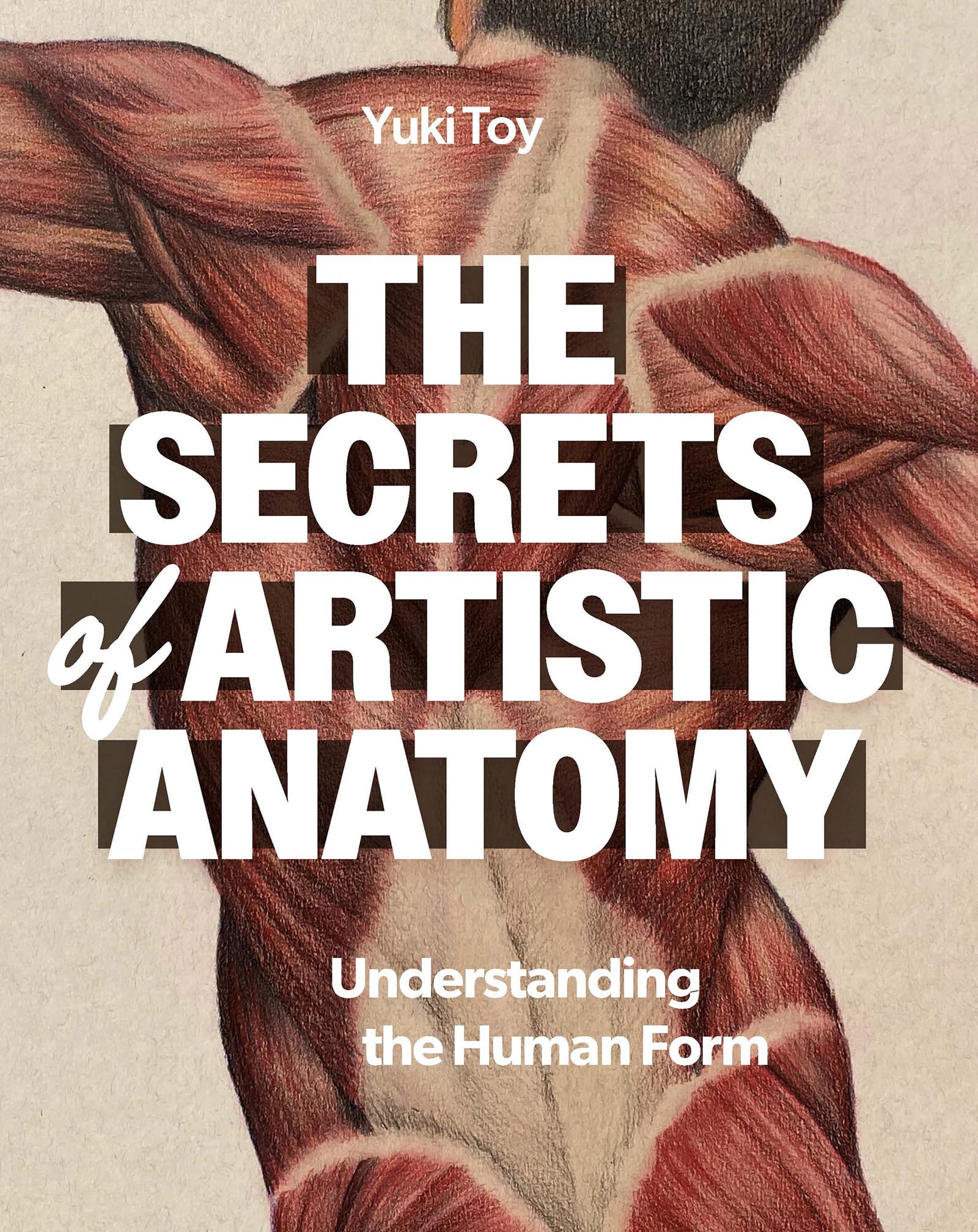 The Secrets Of Artistic Anatomy: Understanding The Human Form