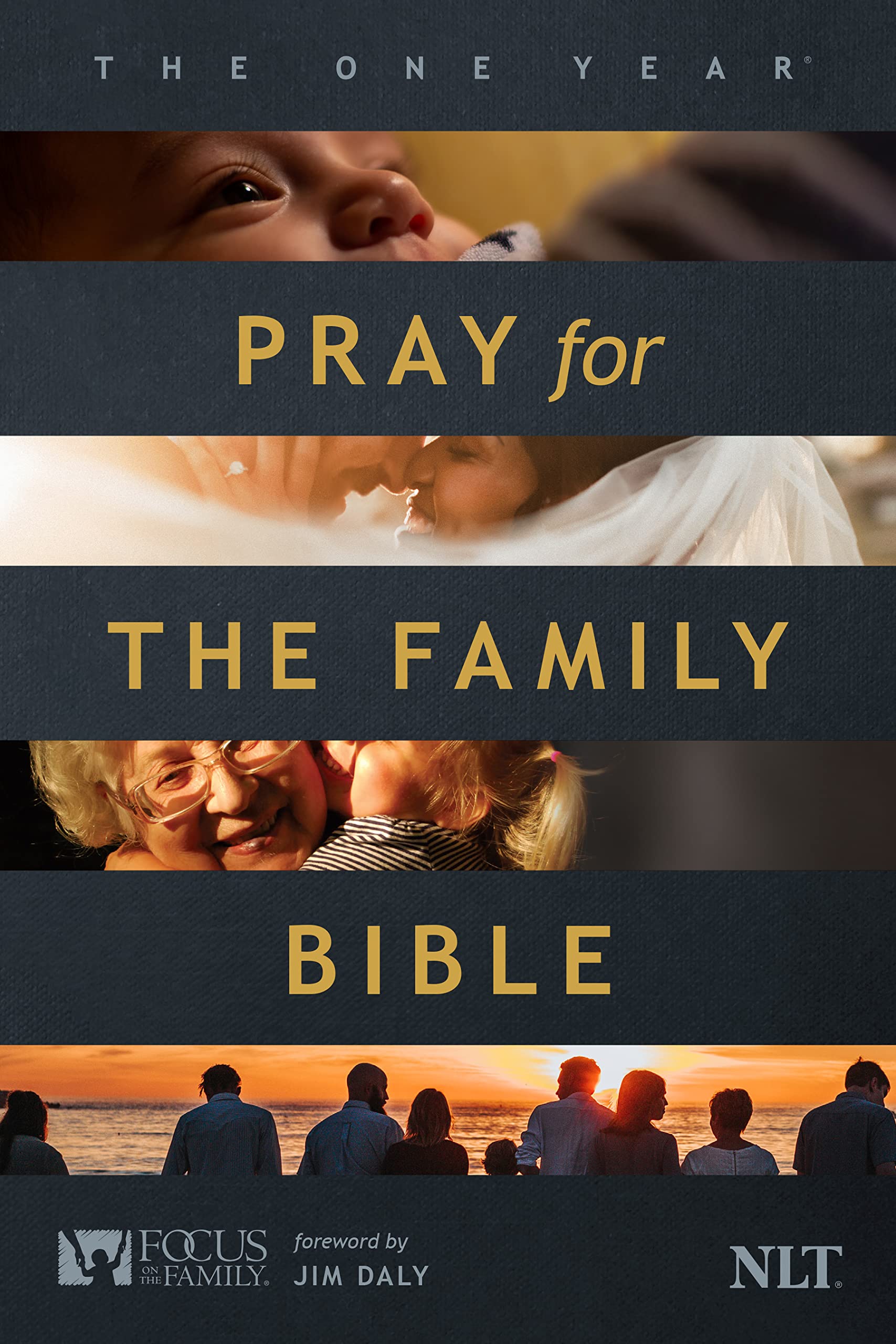 The One Year Pray for the Family Bible NLT (Softcover),Used