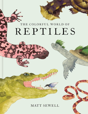The Colorful World Of Reptiles
