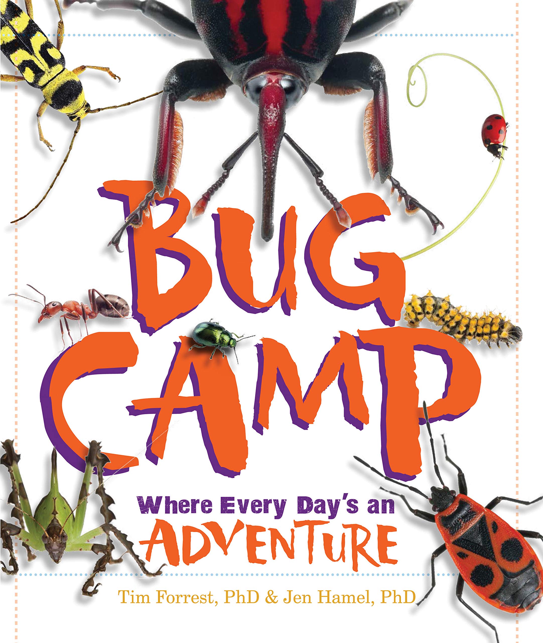 Bug Camp: Where Every Days an Adventure