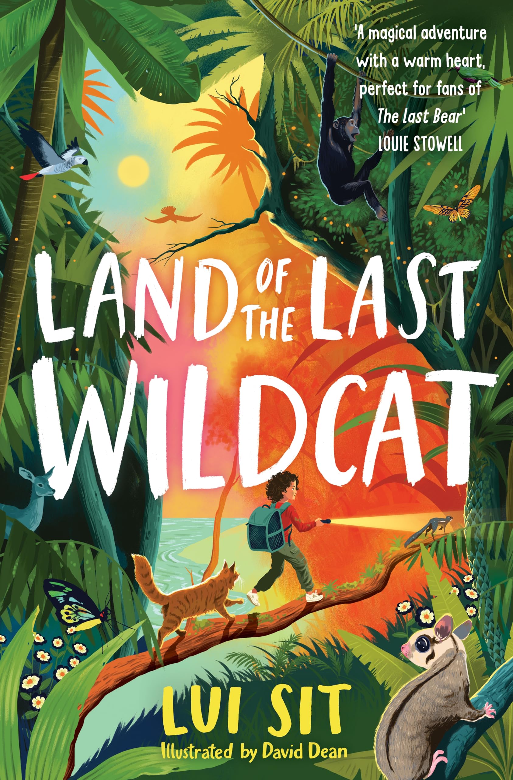Land Of The Last Wildcat