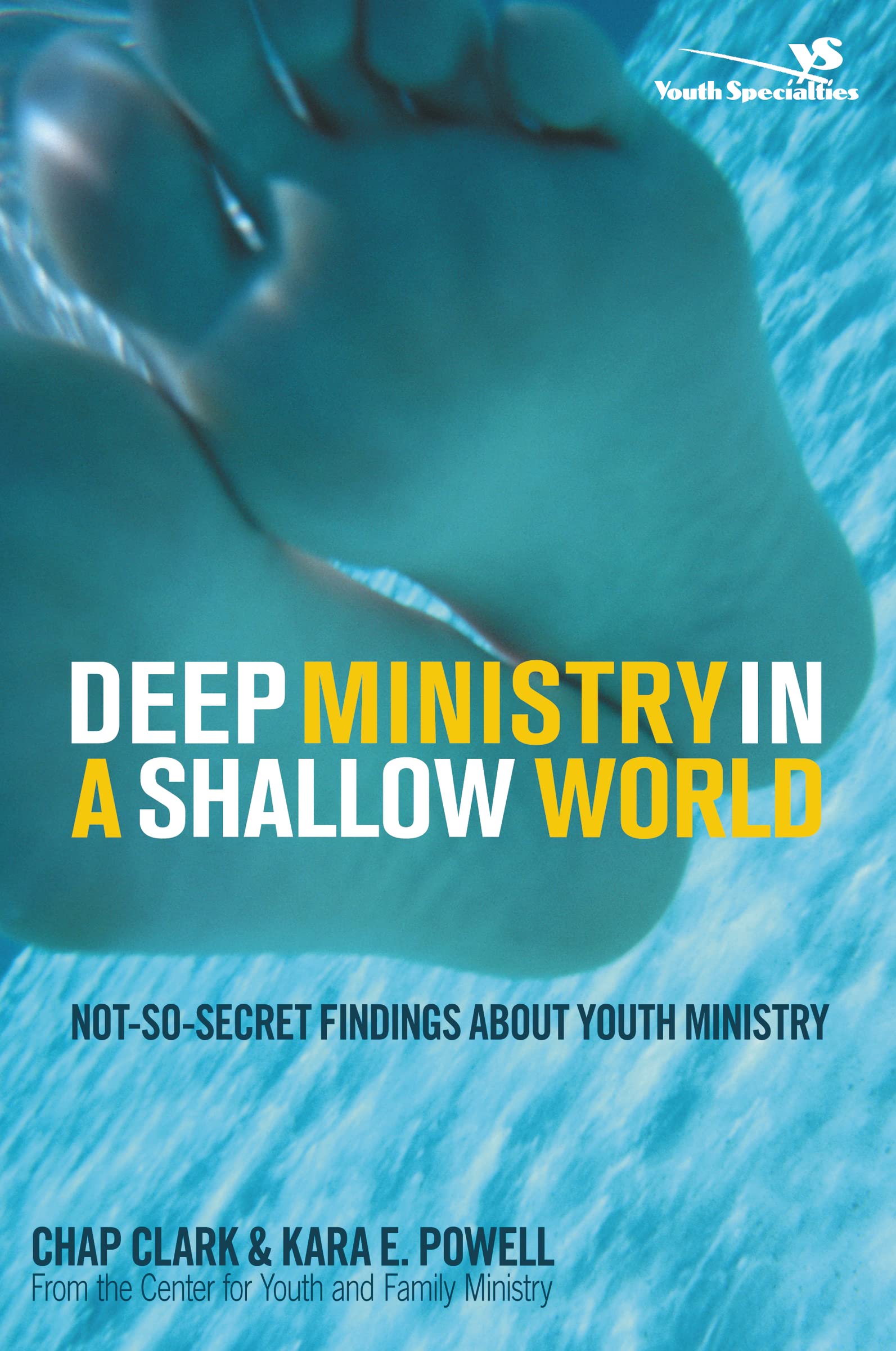 Deep Ministry in a Shallow World: NotSoSecret Findings about Youth Ministry (Youth Specialties (Paperback)),New