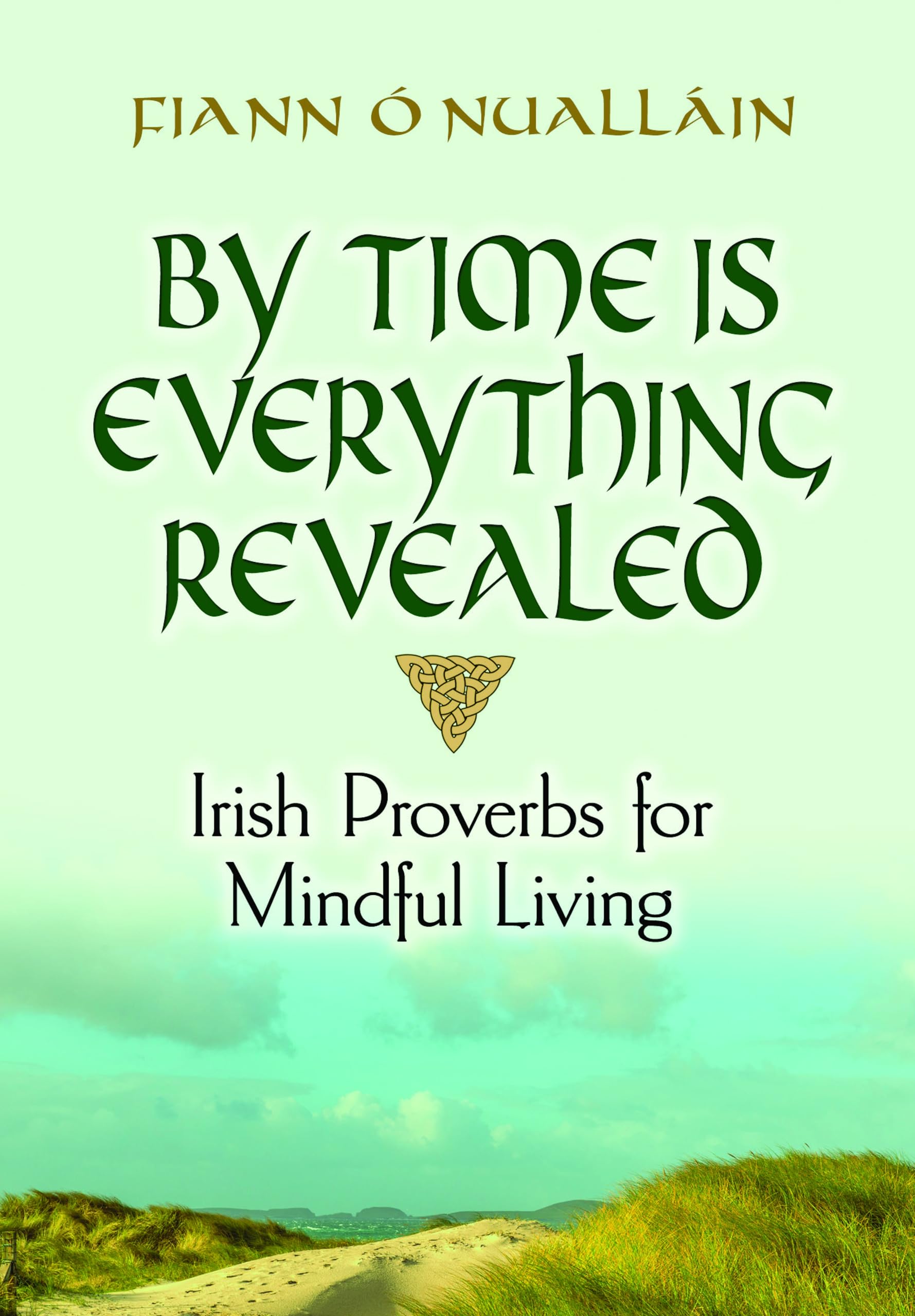 By Time Is Everything Revealed: Irish Proverbs for Mindful Living,Used