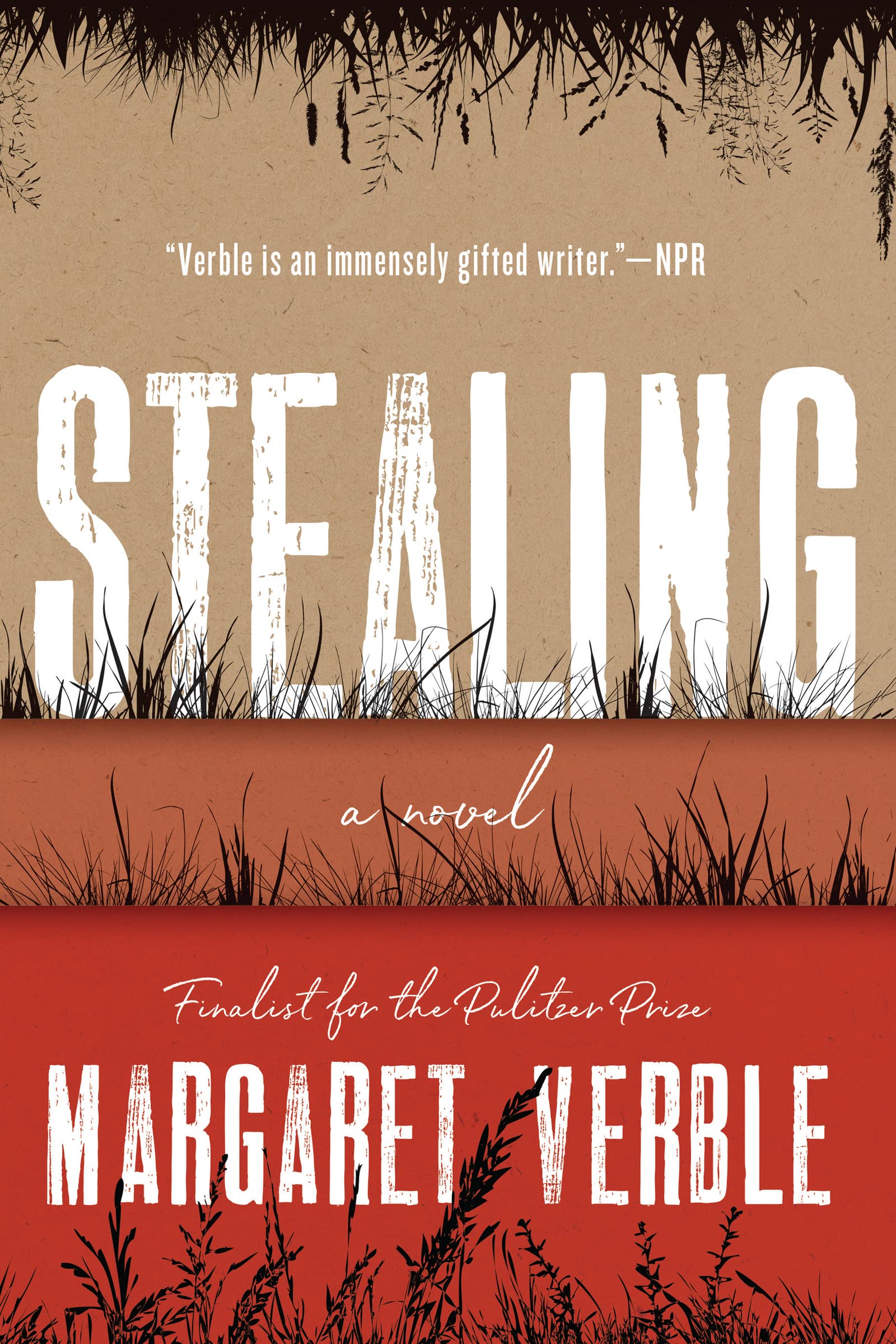 Stealing: A Novel,Used