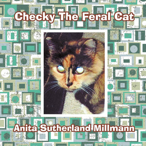 Checky The Feral Cat,Used