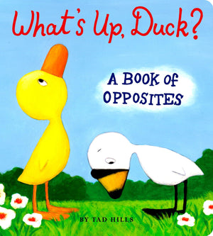What'S Up, Duck?: A Book Of Opposites (Duck & Goose)-used