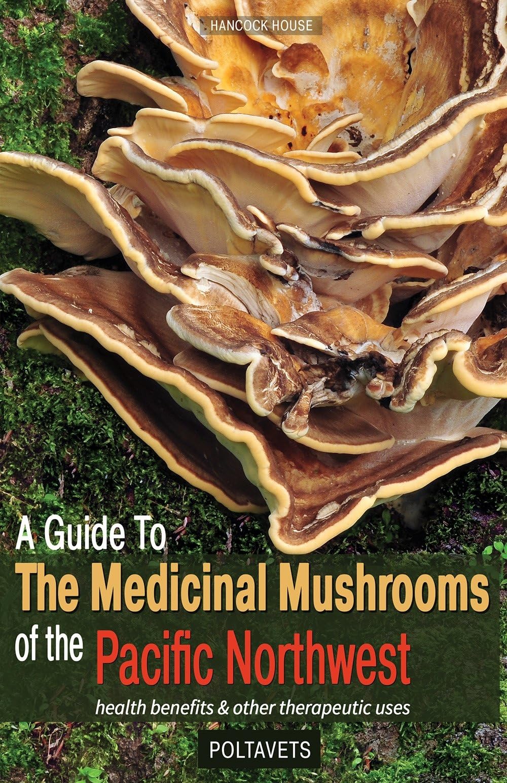 A Guide To The Medicinal Mushrooms Of The Pacific Northwest: Health Benefits And Other Therapeutic Uses,New