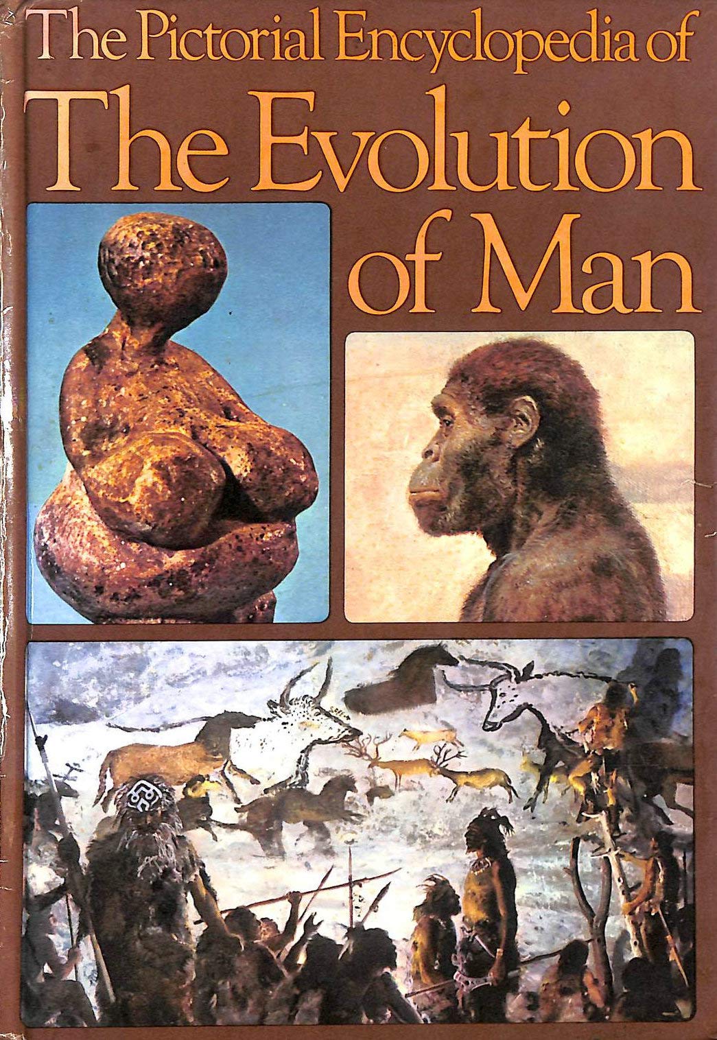 The Pictorial Encyclopedia Of The Evolution Of Man,New