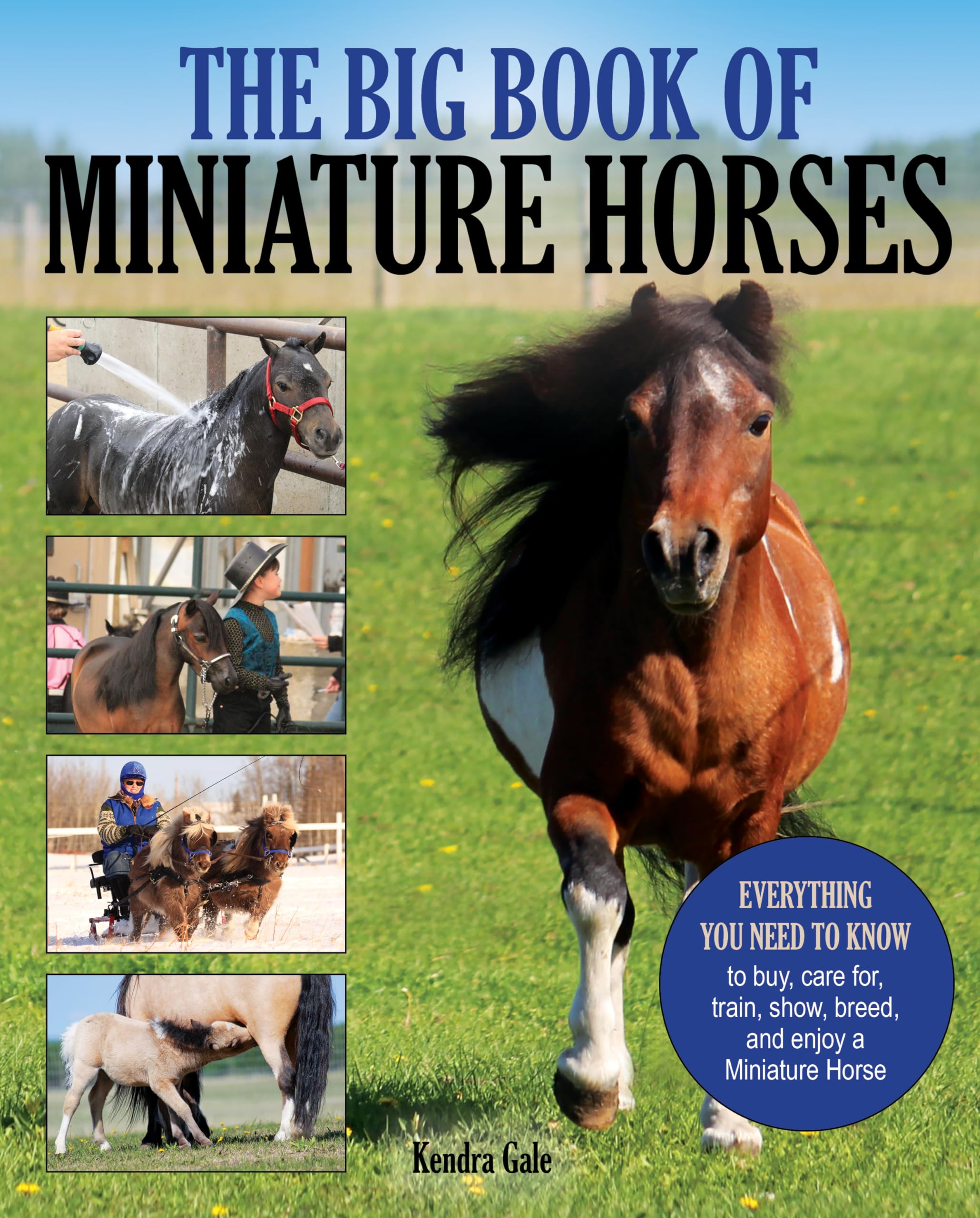 The Big Book of Miniature Horses: Everything You Need to Know to Buy, Care for, Train, Show, Breed, and Enjoy a Miniature Horse ,Used