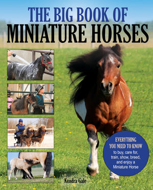 The Big Book of Miniature Horses: Everything You Need to Know to Buy, Care for, Train, Show, Breed, and Enjoy a Miniature Horse ,Used