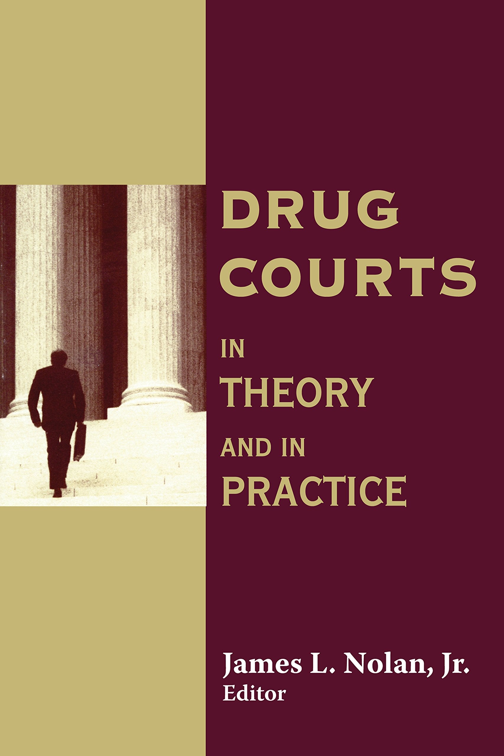 Drug Courts: In Theory and in Practice (Social Problems & Social Issues),Used