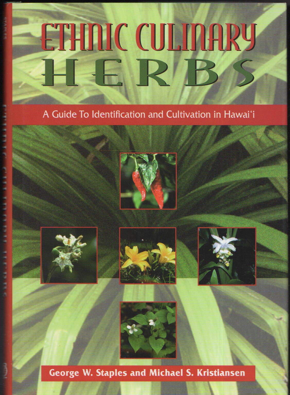 Ethnic Culinary Herbs: A Guide To Identification And Cultivation In Hawaii,New